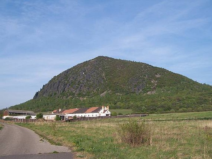 Zlatník