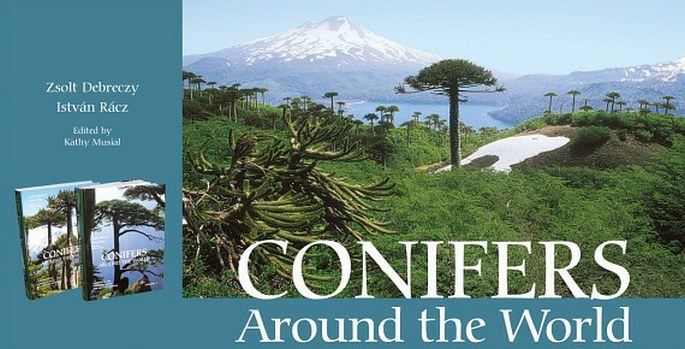 Conifers Around the World - kniha, za kterou je dobré se ohlédnout!