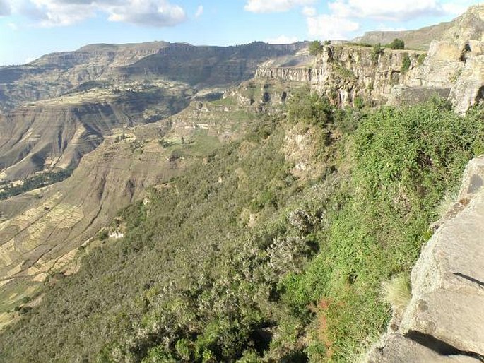 Etiopie, pohoří Wollo, masiv Abuna Yosef