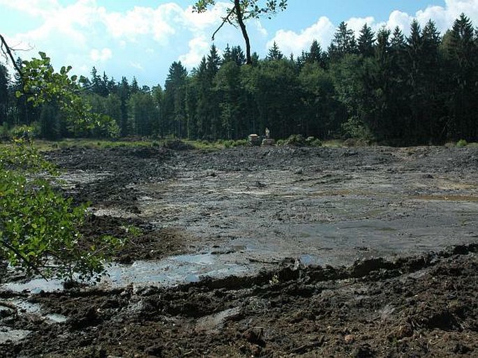 Boušovka