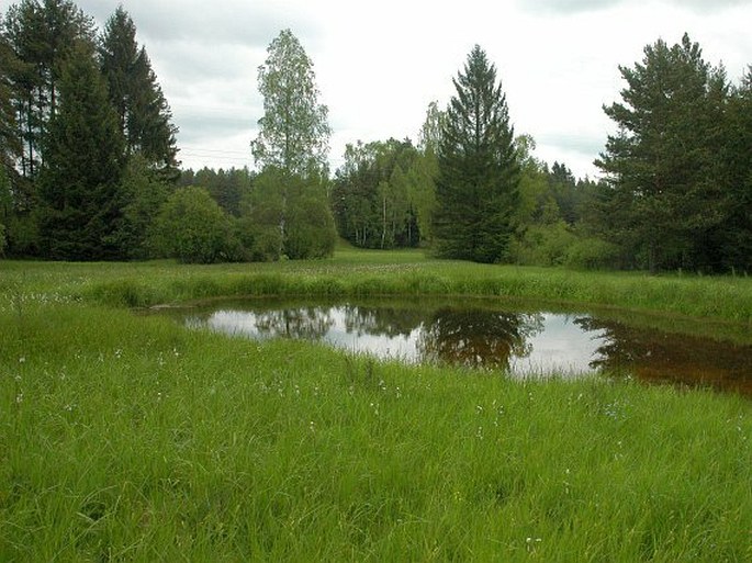 Železné hory, Buchtovka – přírodní památka