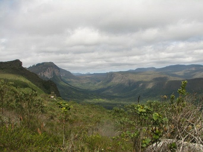 Caatinga