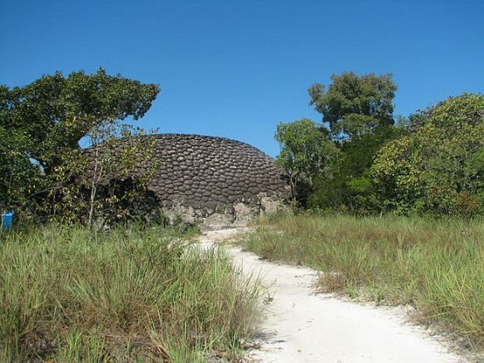 Caatinga