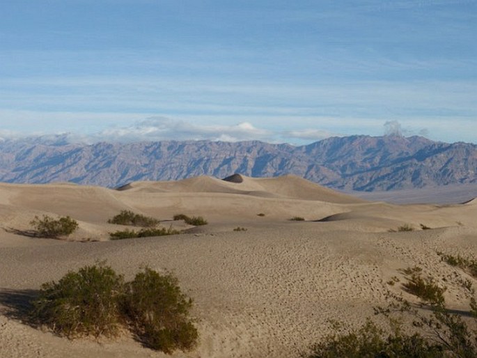 USA, California, Death Valley National Park