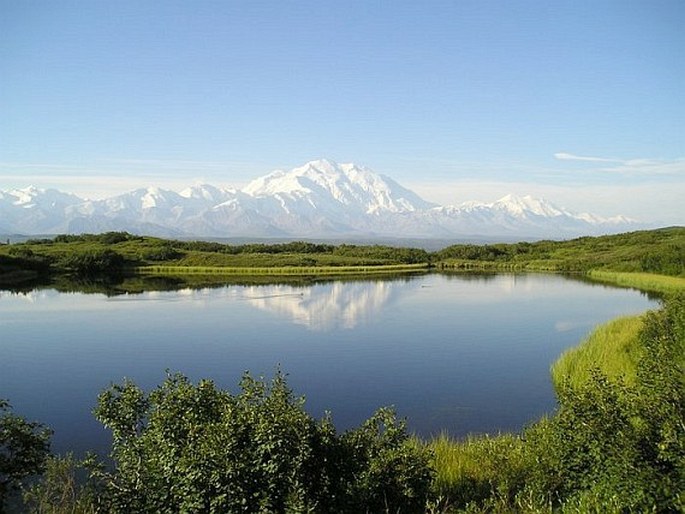 USA, Alaska, Denali National Park and Preserve