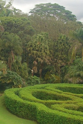 Jardín Botánico Else Kientzler