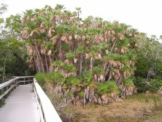 Everglades National Park