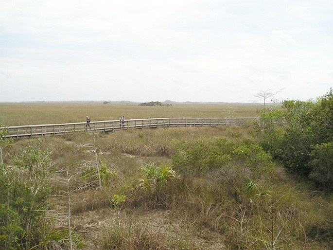 Everglades National Park