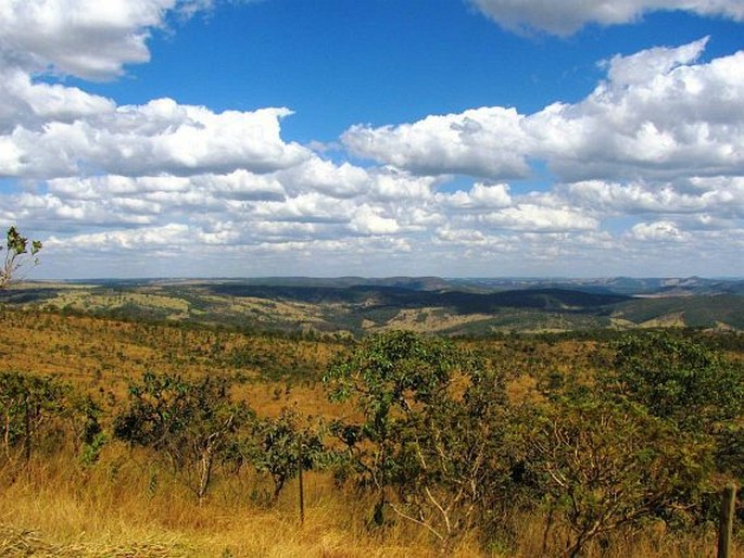Neotropis – Brazilská oblast – Provincie Brazilské vysočiny