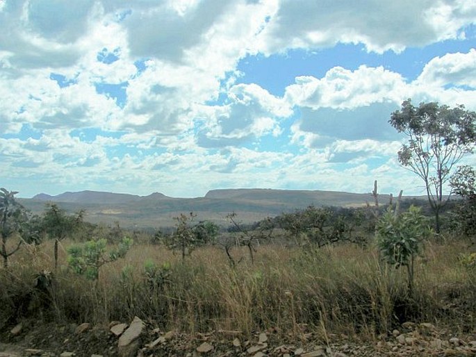 Provincie Brazilské vysočiny