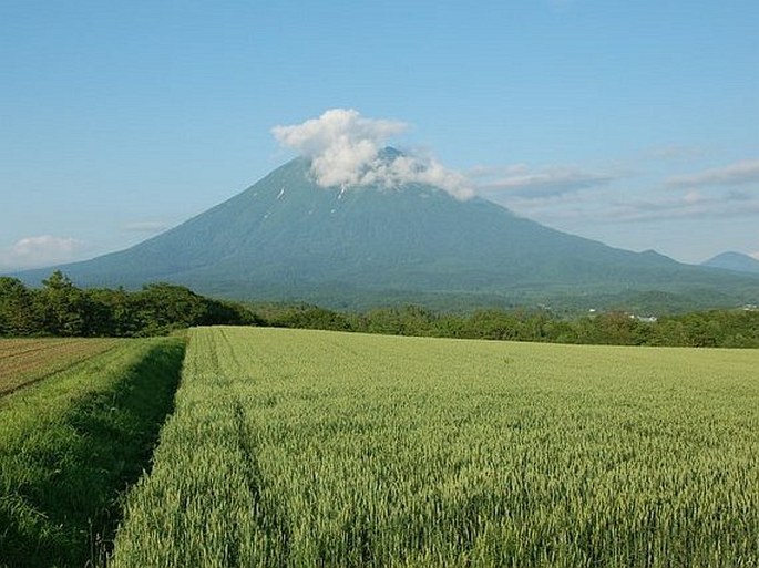 Sachalinsko-hokkaidská provincie