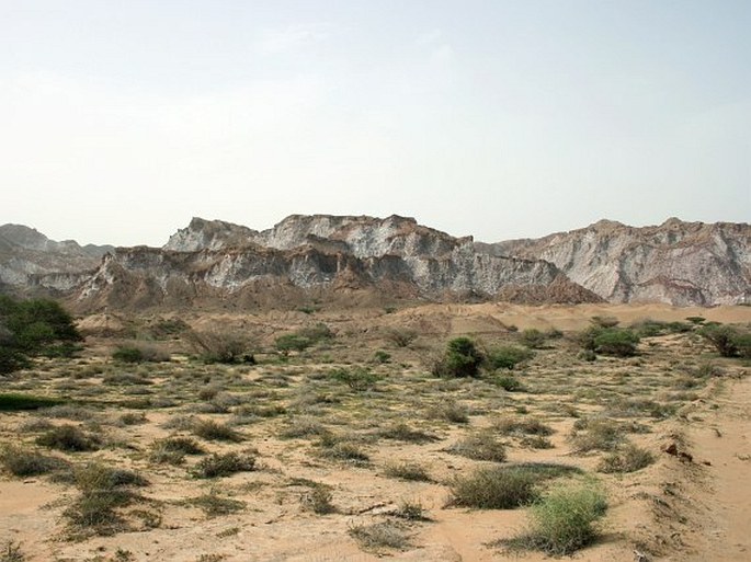 Paleotropis – Súdánsko-zambezijská oblast – Jihoíránská provincie