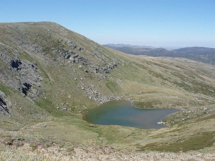 Kosciuszko National Park