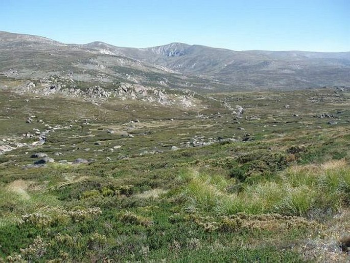 Kosciuszko National Park