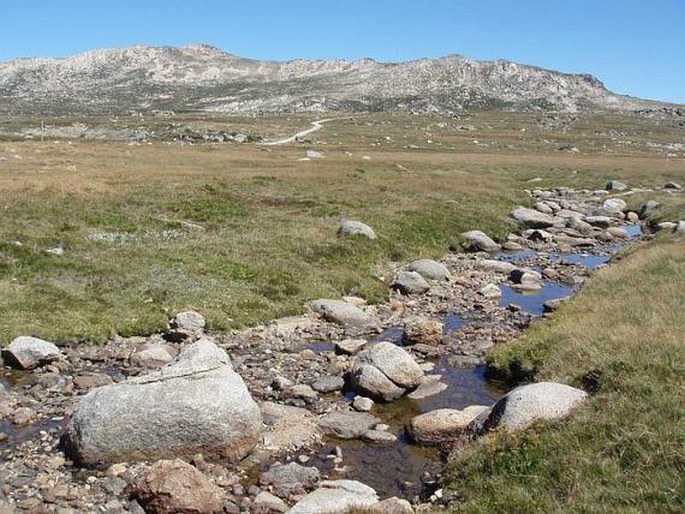 Kosciuszko National Park