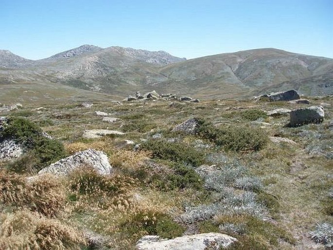 Kosciuszko National Park