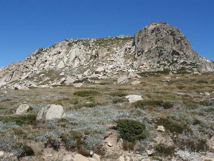 Kosciuszko National Park