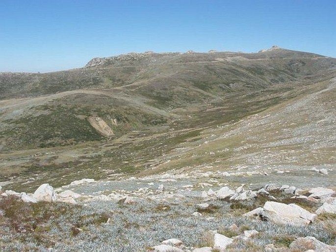 Kosciuszko National Park