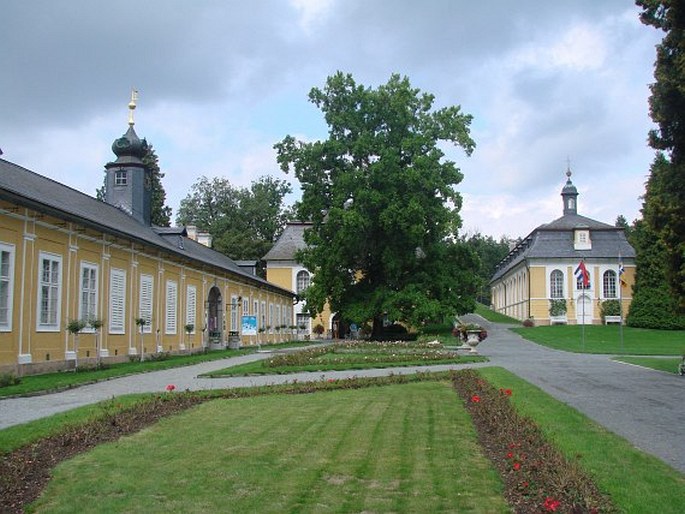 Naše zahrady a parky: Zámecký park Kozel