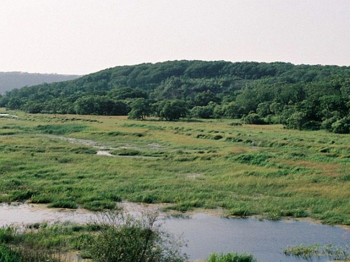 Mandžuská provincie