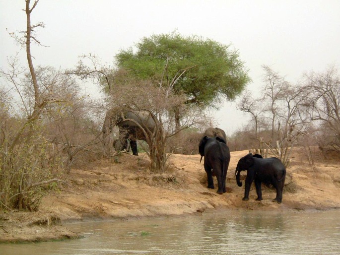 Ghana