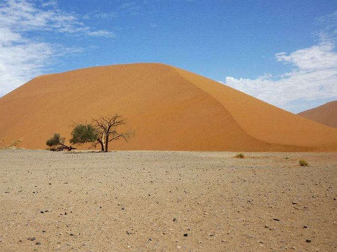 Namibská provincie