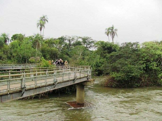 Provincie Paraná