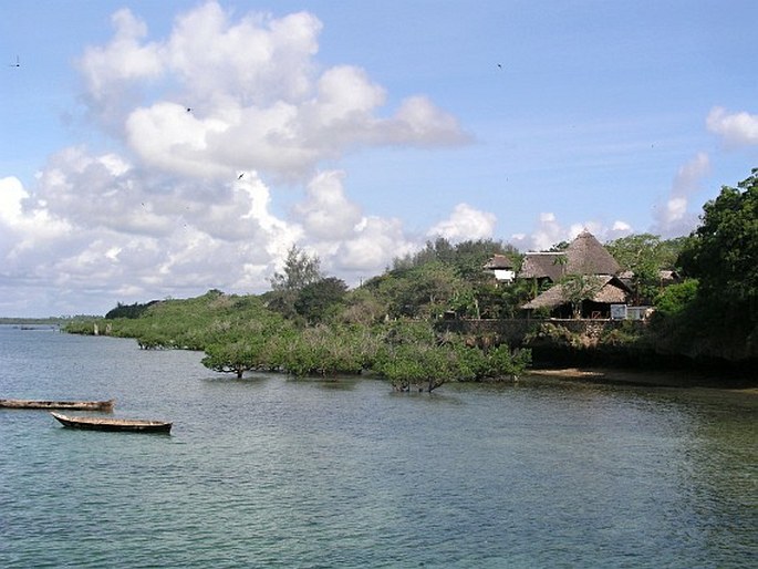 Paleotropis – Oblast východoafrického pobřeží – Zanzibarská provincie