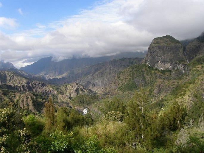 Réunion