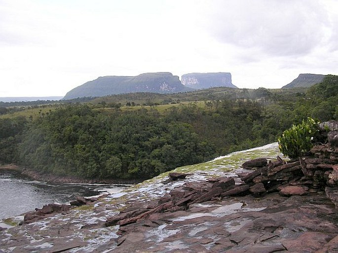 Roraima"