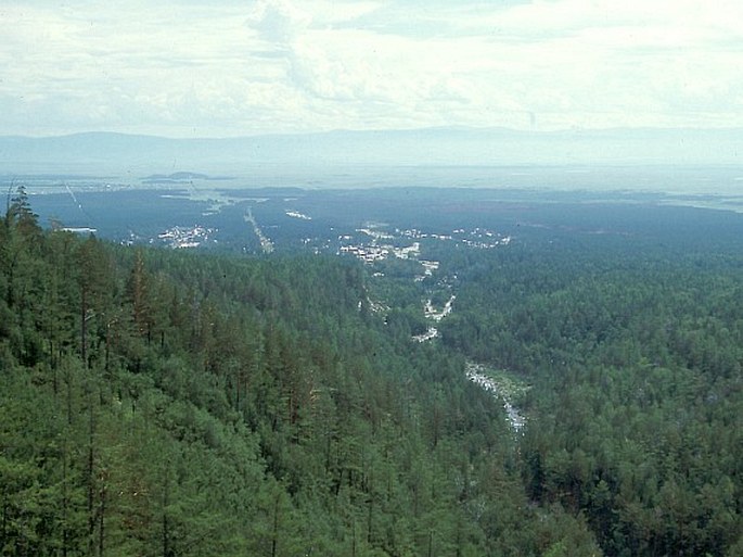 Altajsko-sajanská provincie