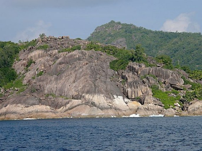 Seychelská provincie