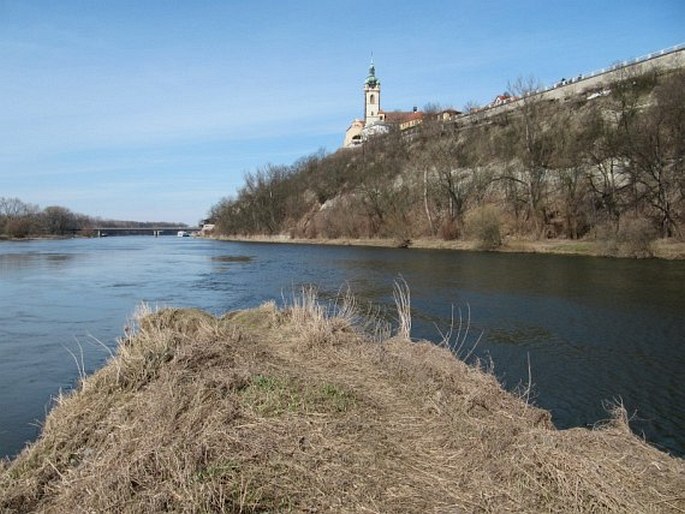 Všetatské Polabí, Úpor – přírodní rezervace