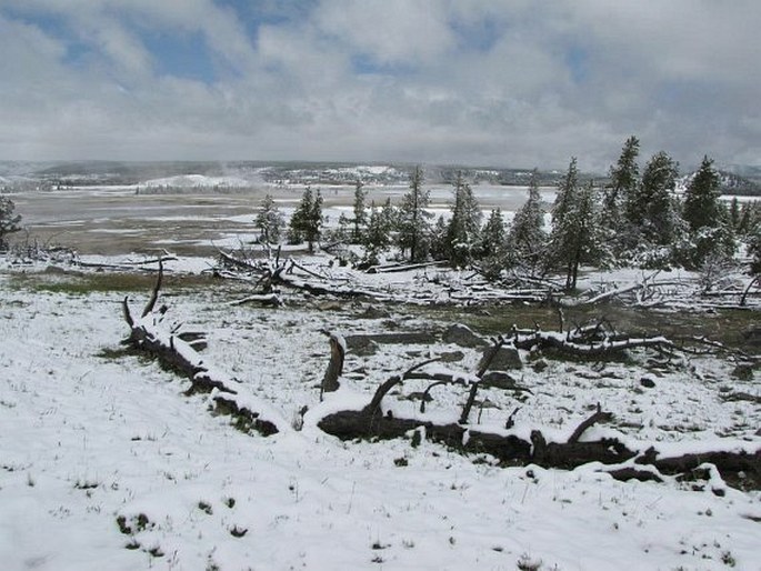 Yellowstone