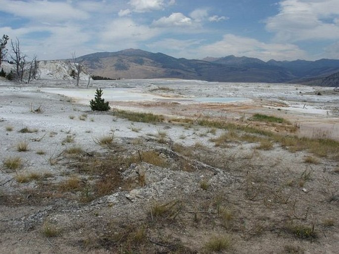 Yellowstone National Park