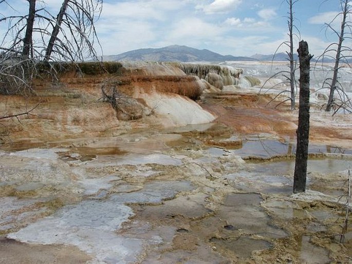 Yellowstone National Park