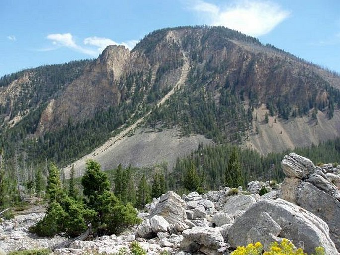 Yellowstone National Park