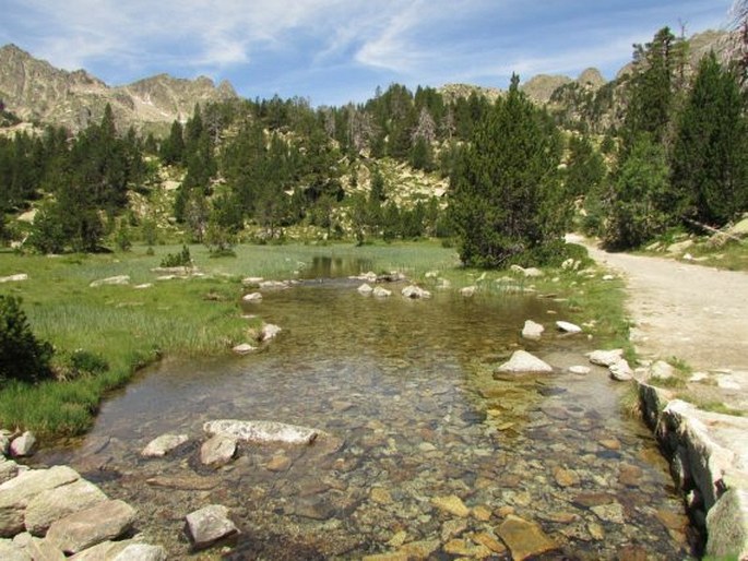 Parc Nacional d'Aigüestortes i Estany de Sant Maurici