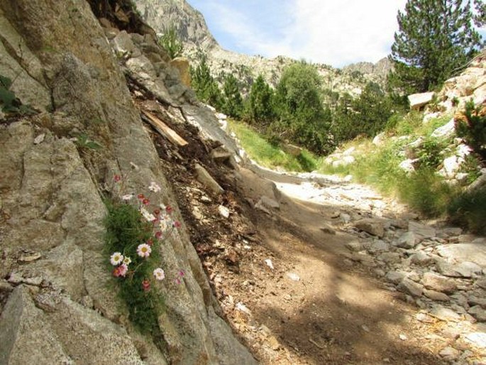 Parc Nacional d'Aigüestortes i Estany de Sant Maurici