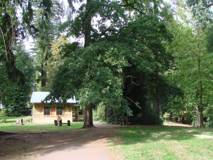 Naše zahrady a parky: Arboretum Bukovina, Český ráj