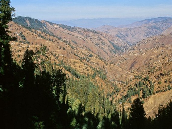 Pákistán, Národní park Ayubia