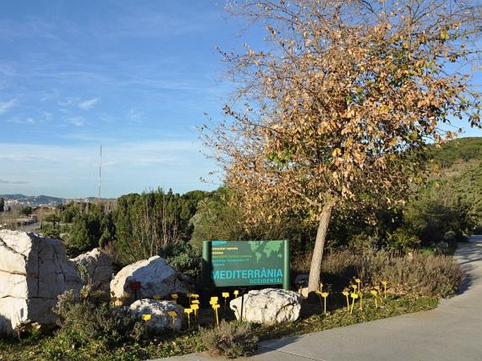 Barcelona, El Jardí Botànic de Barcelona