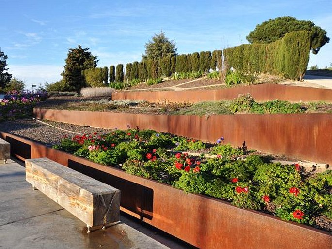 Barcelona, El Jardí Botànic de Barcelona