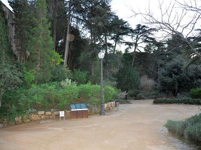 El Jardí Botànic Històric