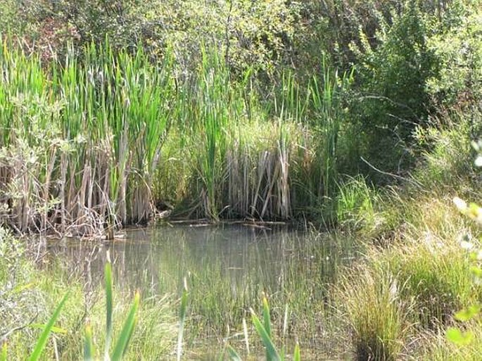 Calgary, Beaverdam Flats Park