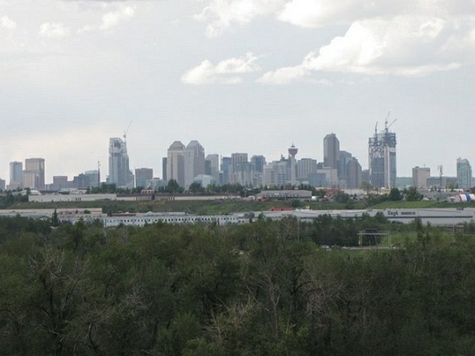 Calgary, Beaverdam Flats Park