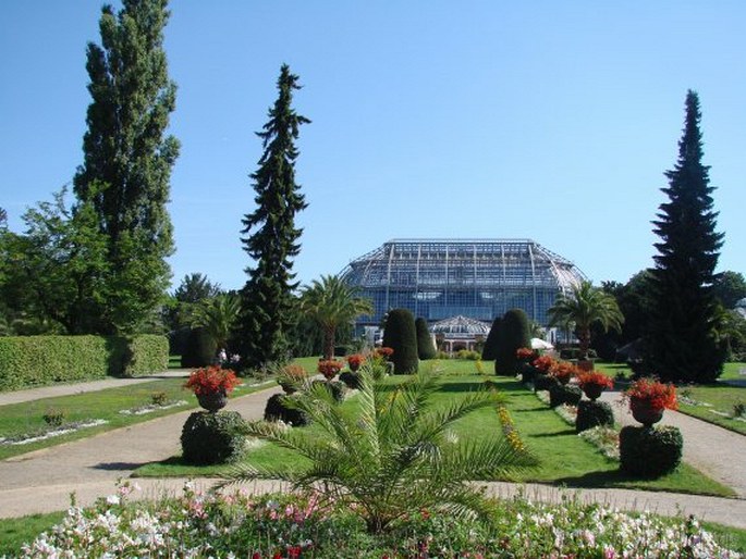Zahrady světa: Německo, Berlín, Botanischer Garten und Botanisches Museum Berlin