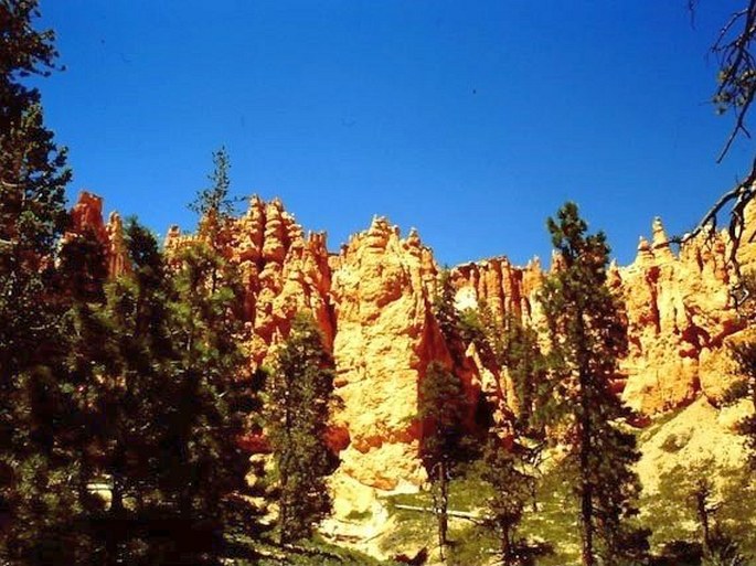 Bryce Canyon