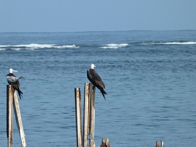 Parque Nacional Cahuita