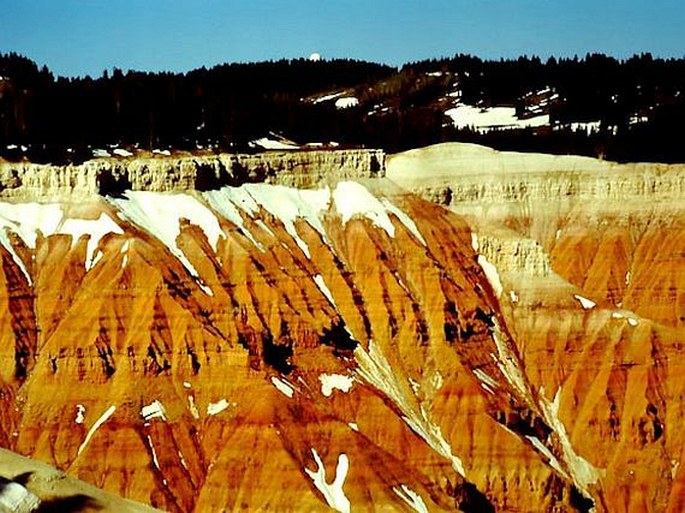 Cedar Breaks National Monument